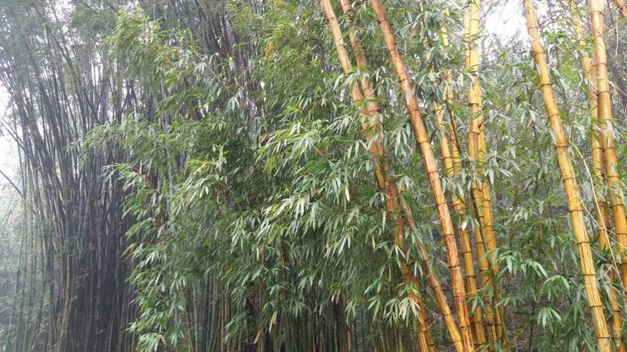 福鼎全套不正规按摩服务上门: 重要问题的解读，能否帮助我们锁定未来？